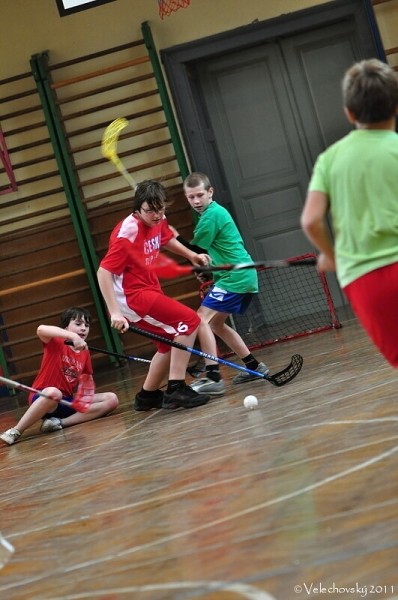 Floorball 2011